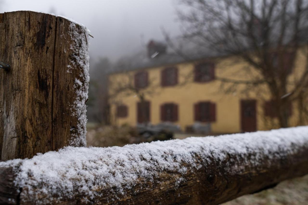 Gite Auberge Les Cascades ลามงจี ภายนอก รูปภาพ