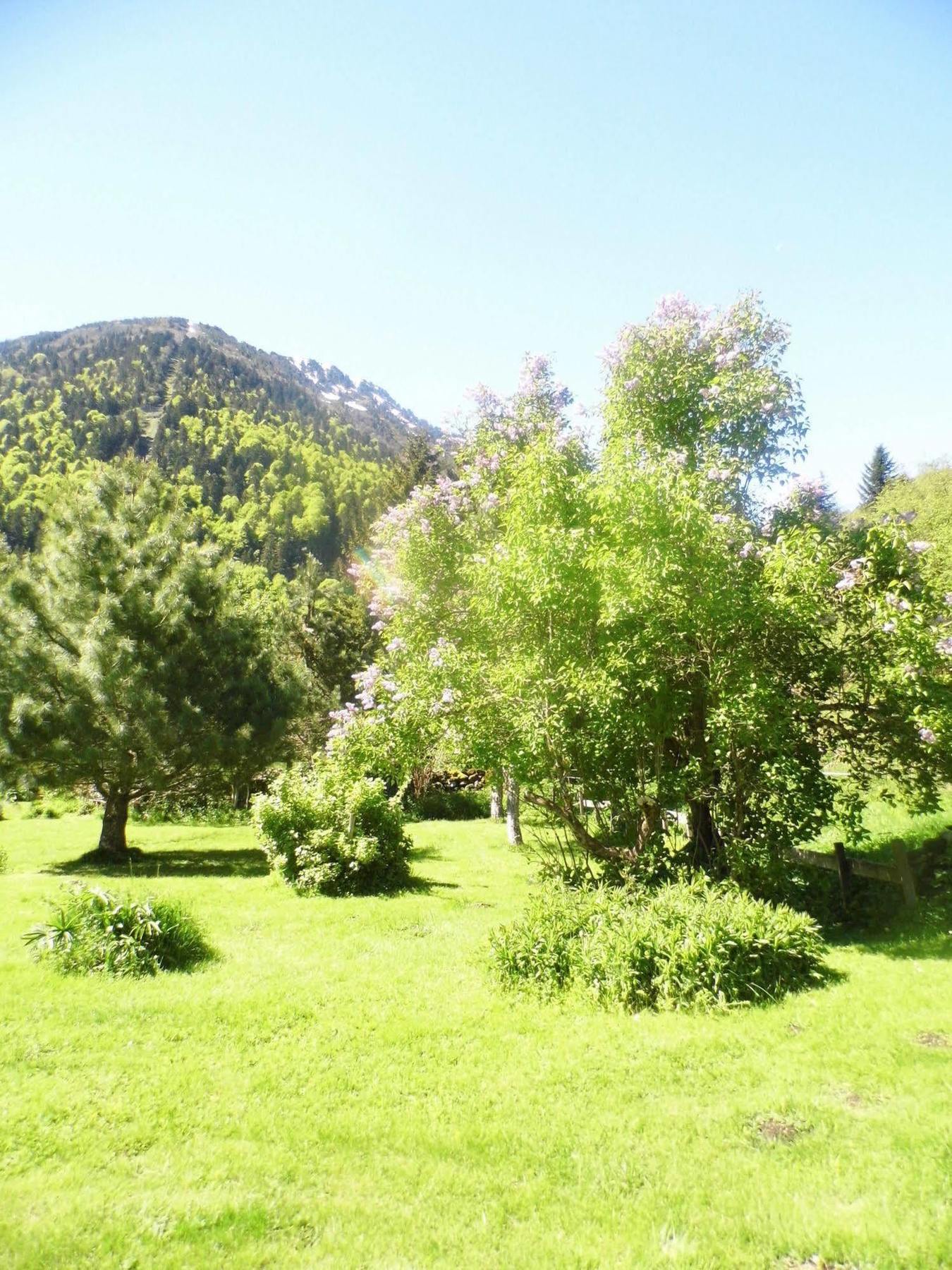 Gite Auberge Les Cascades ลามงจี ภายนอก รูปภาพ